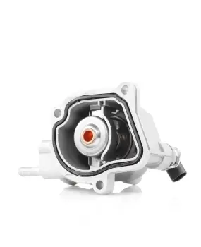 Image of RIDEX Engine thermostat MERCEDES-BENZ 316T0100 6112000315,6112000515,6112030875 6112031175,6112031375,6132000015,6132000115,6132030175,A6112000315