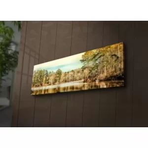 Image of 3090?ACT-63 Multicolor Decorative LED Lighted Canvas Painting