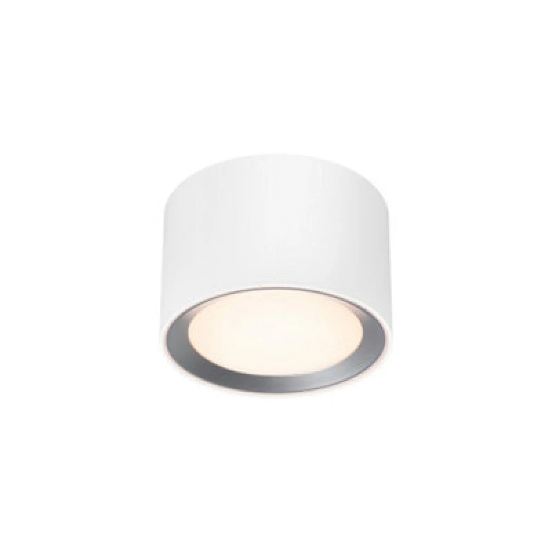 Image of Nordlux Landon Metal Surface Downlight 3-Level Dimming White,mains Led
