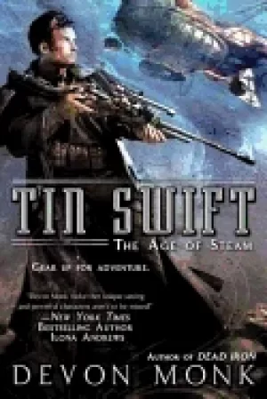 Image of tin swift