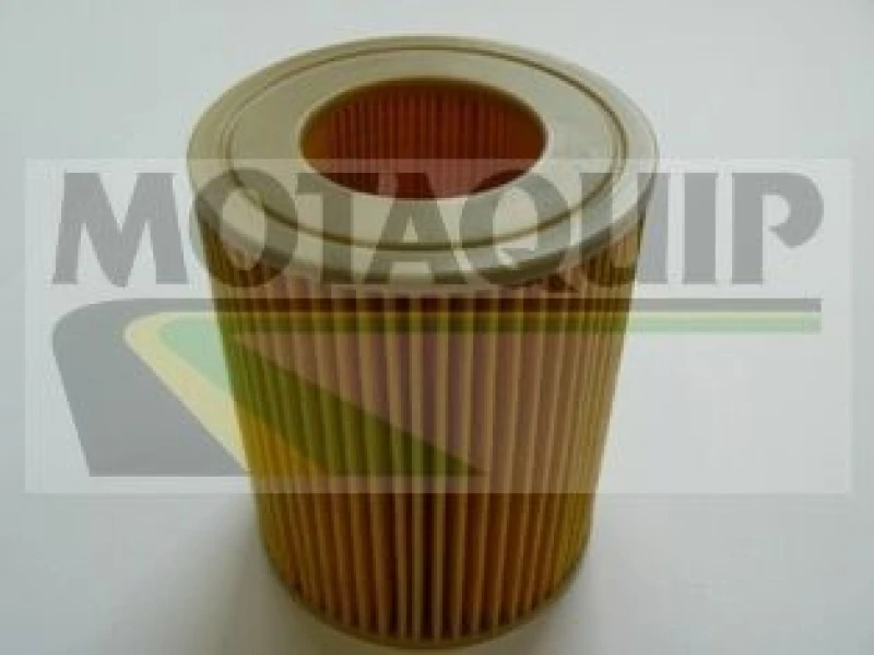 Image of MOTAQUIP Oil filter MOTAQUIP VFL559
