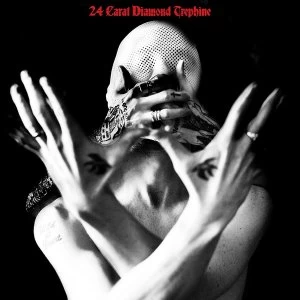Image of Avalanche Party - 24 Carat Diamond Trephine Vinyl