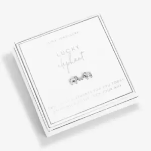 Image of Beautifully Boxed Lucky Elephant Silver Box Earrings 6241