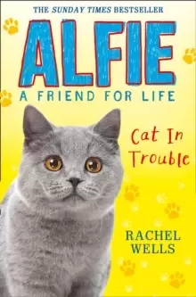 Image of Alfie Cat In Trouble