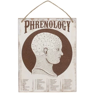 Image of Phrenology Wall Sign