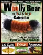 Image of woolly bear the banded caterpillar life cycle friends and adventures