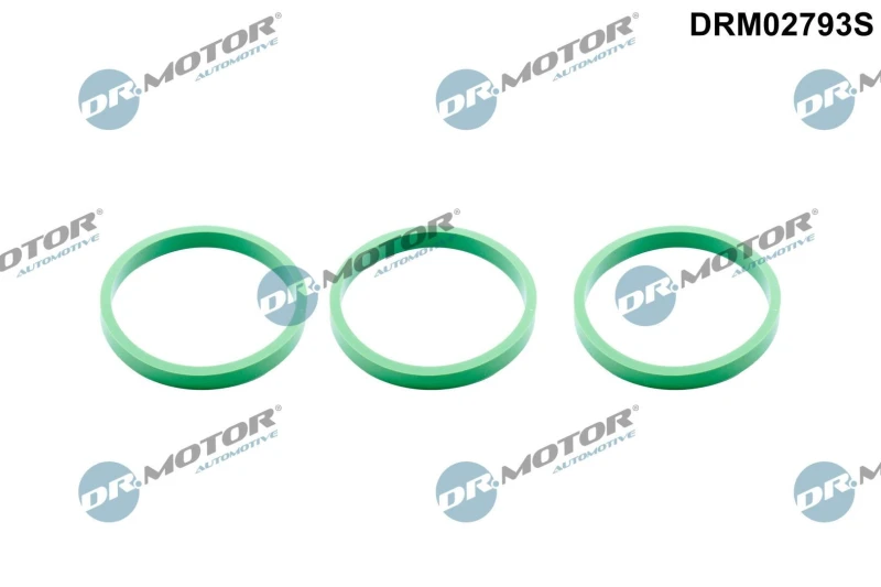 Image of DR.MOTOR AUTOMOTIVE Gasket Set, intake manifold DR.MOTOR AUTOMOTIVE DRM02793S