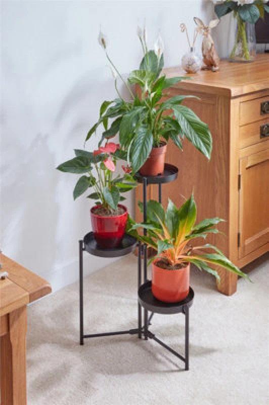 Image of Smart Garden Triple Pot Stand, Black 6070010