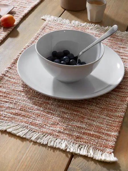 Image of Pineapple Elephant 'Textured Frayed Edge' Placemat Pair Terracotta