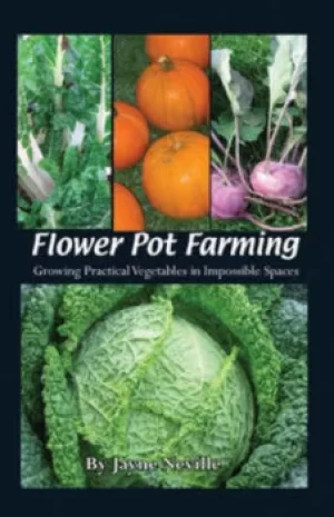 Image of Flowerpot farming by Jayne Neville