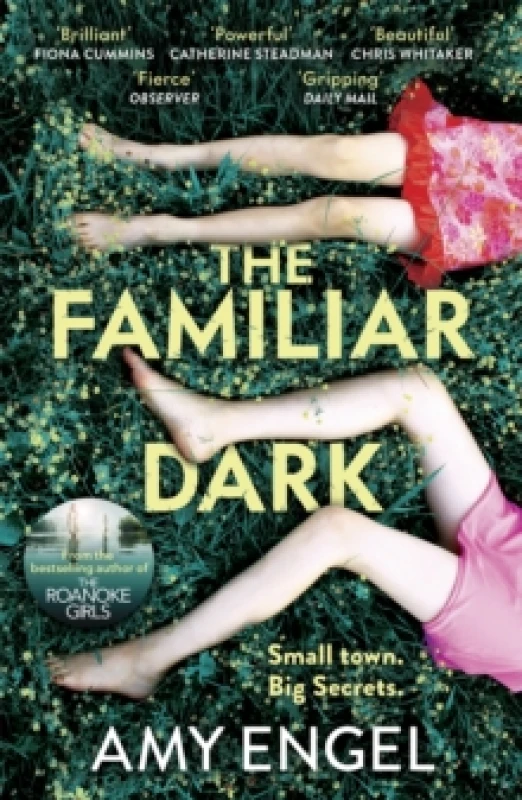 Image of The Familiar Dark : The must-read, utterly gripping thriller you won't be able to put down Paperback / softback