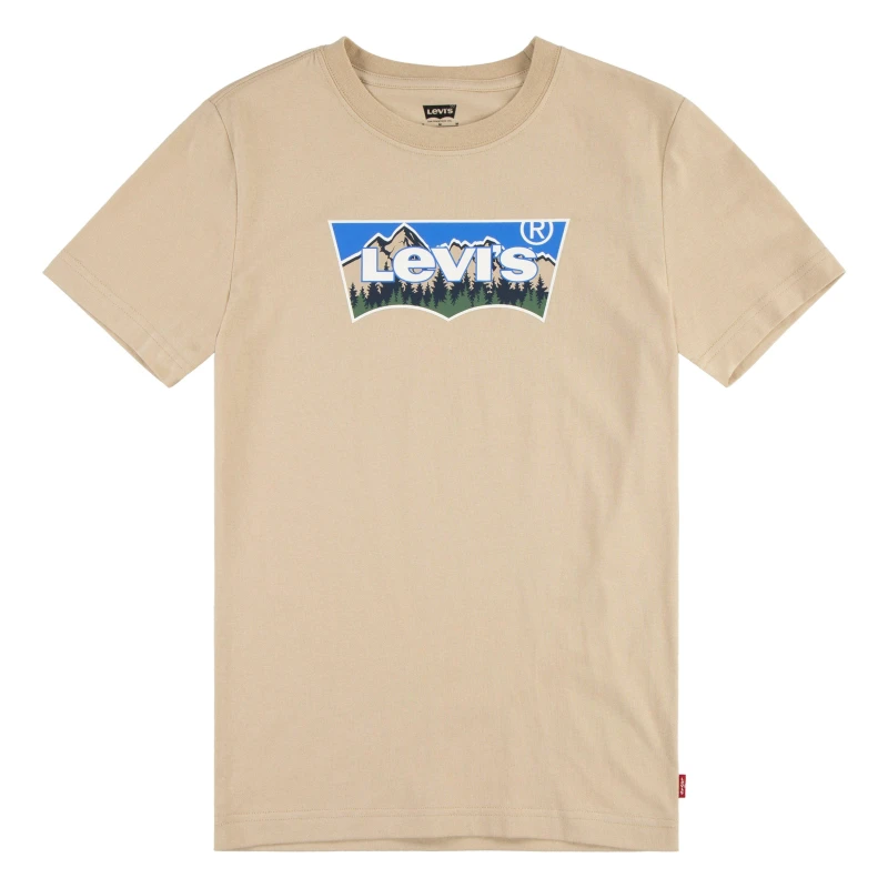 Image of Levis Teenager Forested Mountains Batwing Tee - Boy's - 14A - Beige / Safari