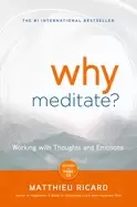 Image of why meditate working with thoughts and emotions