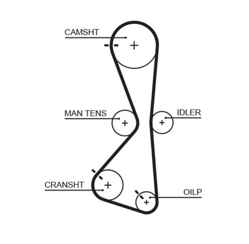 Image of GATES Timing Belt GATES 5609XS