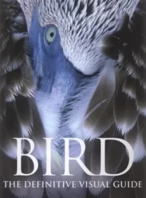 Image of Bird by BirdLife International