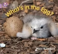Image of What's in the Egg? Band 00/Lilac