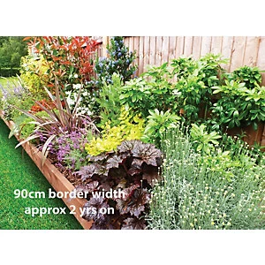 Image of Garden On A Roll Mixed Sunny Border Pack 3m x 60cm Plants