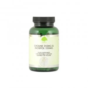 Image of Choline 250mg & Inositol 250mg 120's (Currently Unavailable)