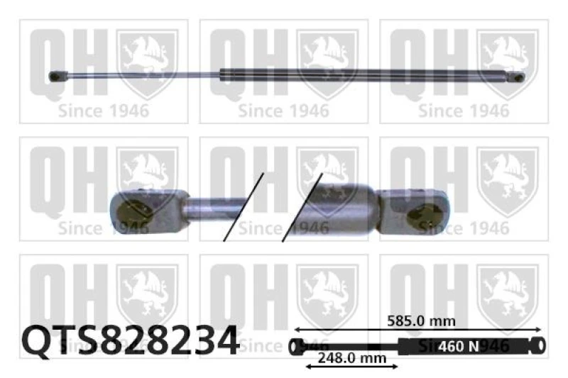 Image of QUINTON HAZELL Tailgate strut QUINTON HAZELL QTS828234