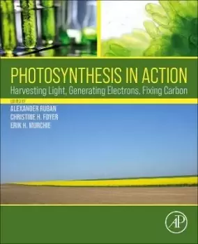 Image of Photosynthesis in Action by Alexander Ruban