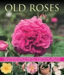 Image of Old Fashioned Roses