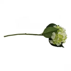 image of Single Hydrangea Spray, Cream & Green Flower, 49cm