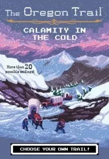 Image of Calamity in the Cold