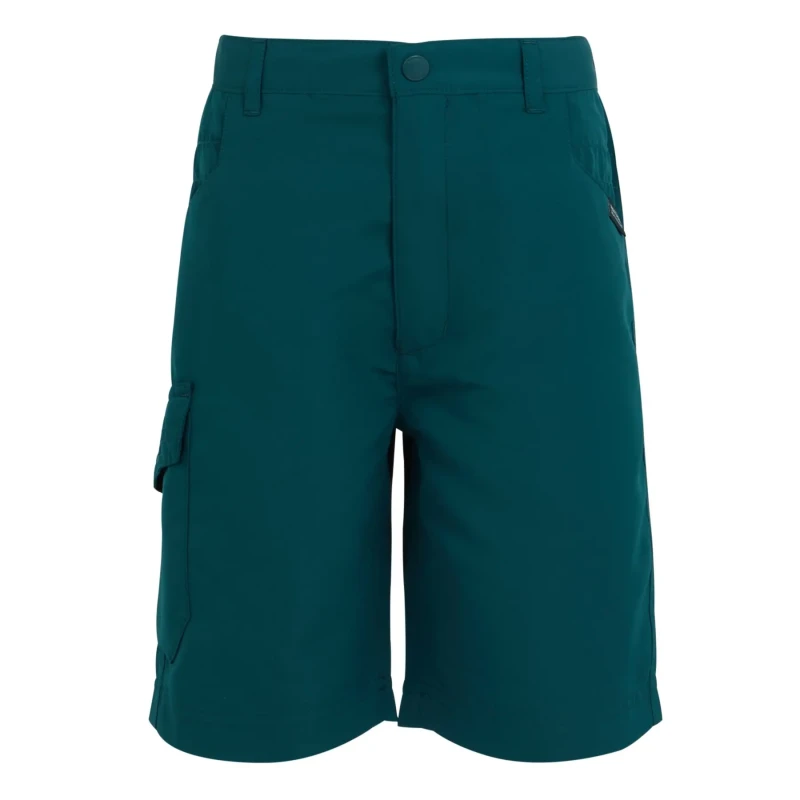 Image of Children's cargo shorts Regatta Sorcer II Bleu Unisex 13 ans
