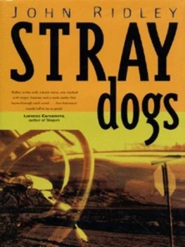 Image of Stray Dogs by John Ridley Hardback