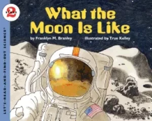 Image of what the moon is like