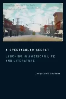 Image of A Spectacular Secret