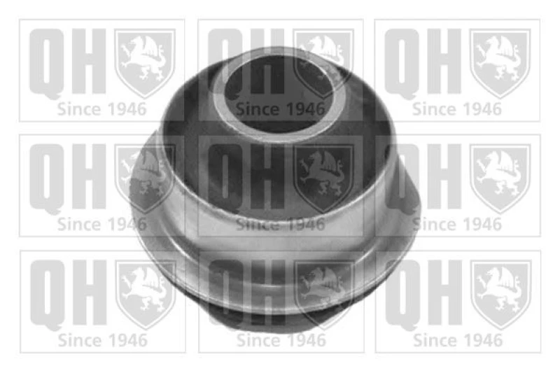 Image of QUINTON HAZELL Trailing arm / Suspension arm bush QUINTON HAZELL EMS8466