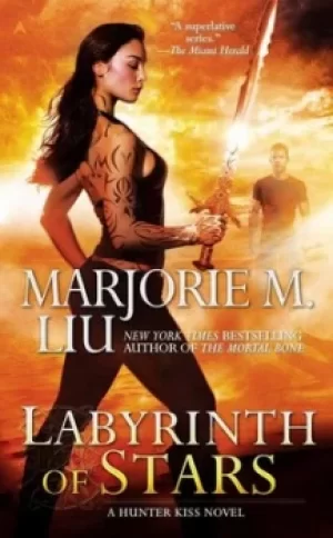 Image of Labyrinth of Stars by Marjorie M. Liu