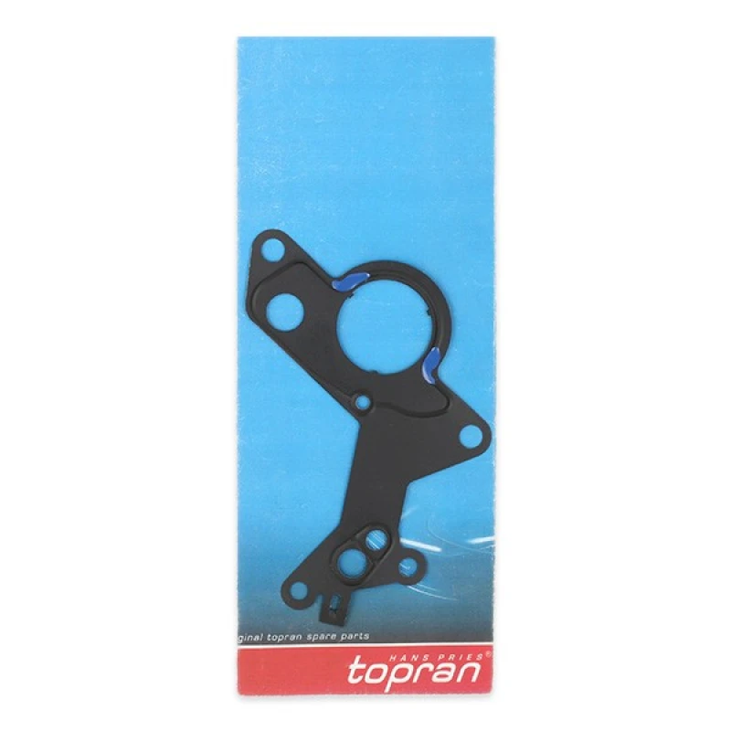 Image of Gasket, vacuum pump TOPRAN 114 963
