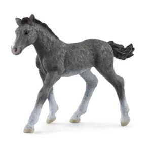 image of SCHLEICH Horse Club Trakehner Foal Toy Figure, 3 to 8 Years, Grey (13944)