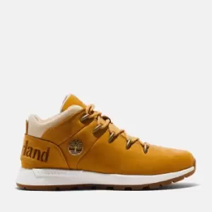 Image of Timberland Sprint Trekker Hiking Boot For Her In Yellow, Size 3.5