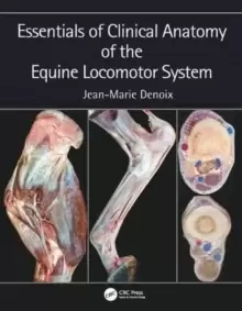 Image of Essentials of Clinical Anatomy of the Equine Locomotor System