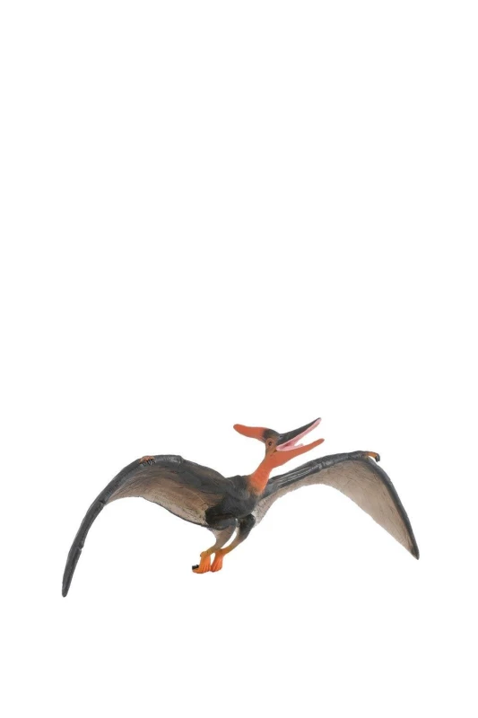 Image of CollectA Pteranodon Dinosaur Toy Brown unisex