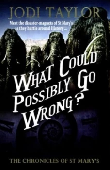 Image of What Could Possibly Go Wrong by Jodi Taylor Book