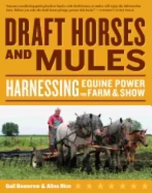 Image of draft horses and mules harnessing equine power for farm and show