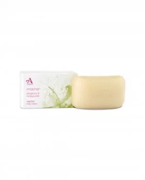 Image of Arran Aromatics Imachar Saddle Soap 100g