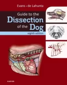 Image of Guide to the Dissection of the Dog