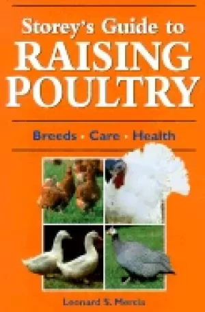 Image of storeys guide to raising poultry