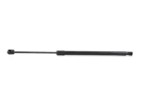 Image of RIDEX Tailgate strut RENAULT 219G0065 8200119500,8200377789,8489350