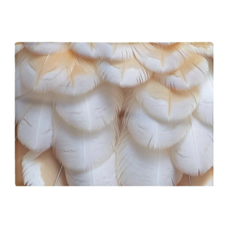 Image of Warren Reed Designer Fluffy Barn Owl Feather Print Chopping Board