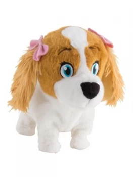 Image of Club Petz Lola