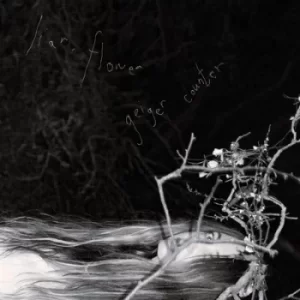Image of Geiger Counter by Liar, Flower CD Album