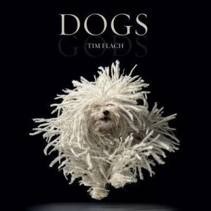 Image of Dogs/gods by Tim Flach and Lewis Blackwell Hardback