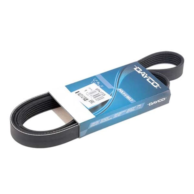 Image of DAYCO 6PK1725 V-ribbed belt V-Ribbed Belts (305)