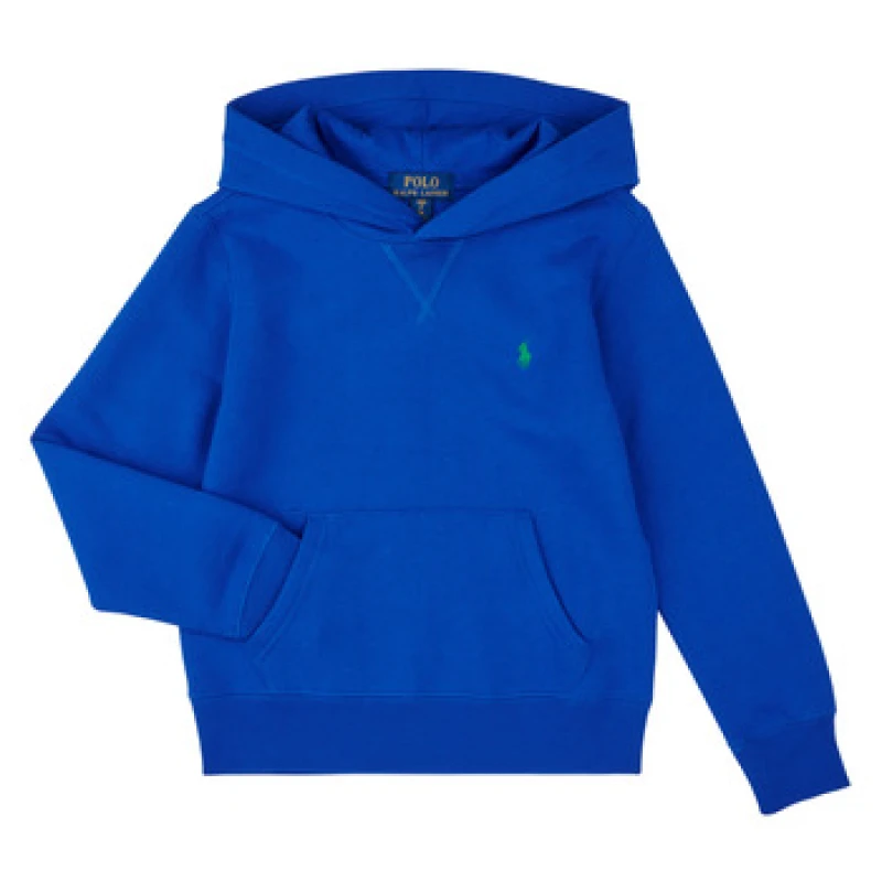 Image of Polo Ralph Lauren LS PO HOOD-TOPS-KNIT boys's Hoodies in Blue